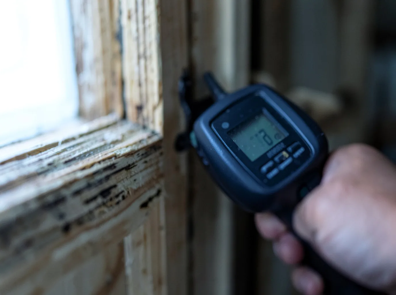 Moisture Inspection And Documentation in Petal, MS